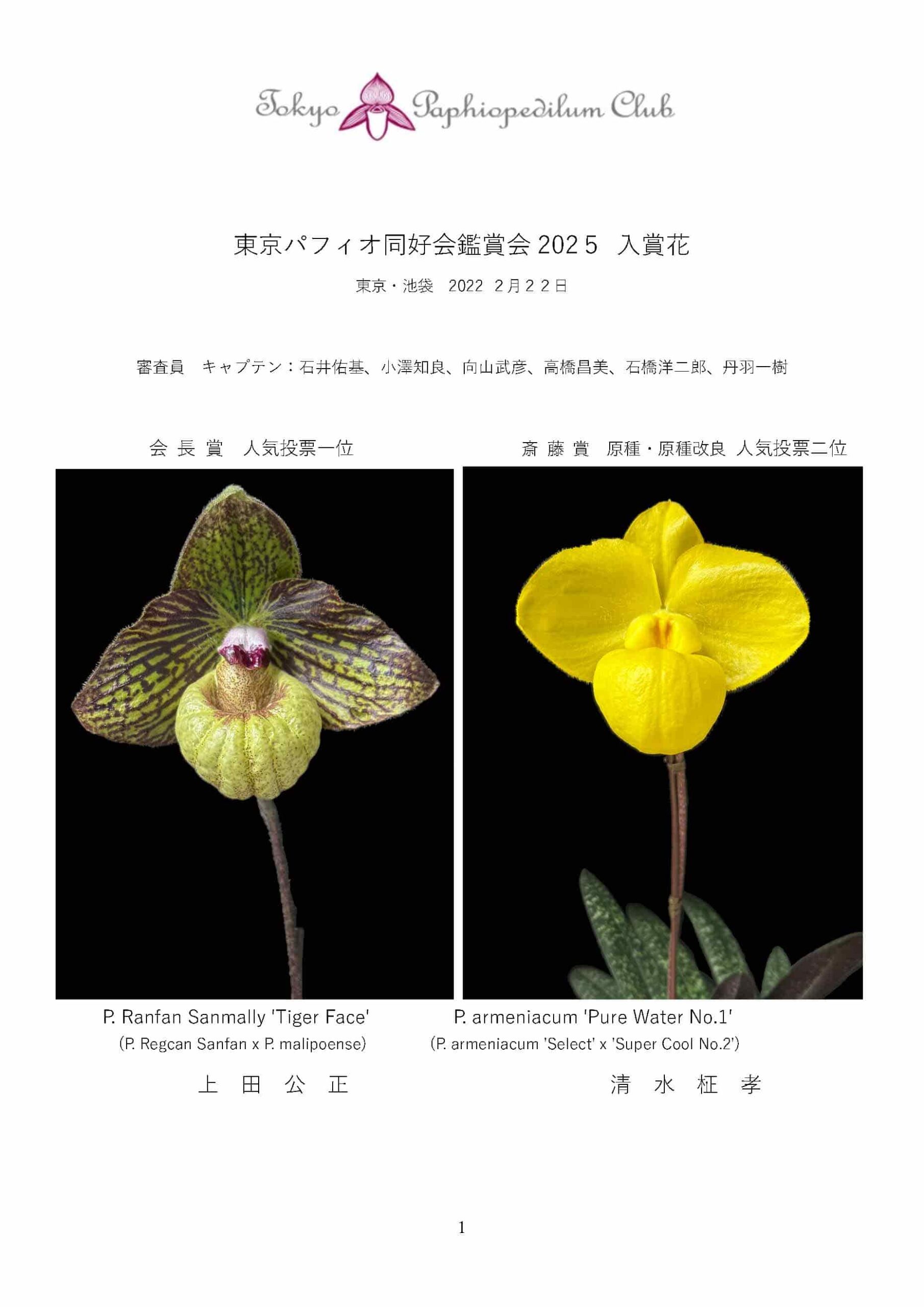 東京パフィオ同好会鑑賞会 2025 入賞花 | Mukoyama & Company